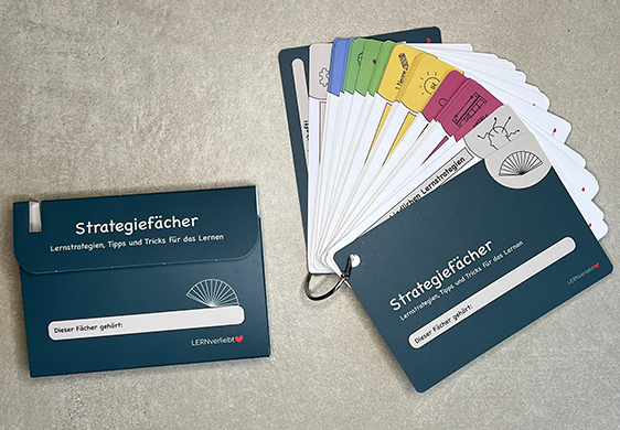 strategiefaecher aufbau