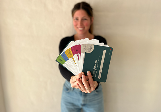 strategiefaecher startbild