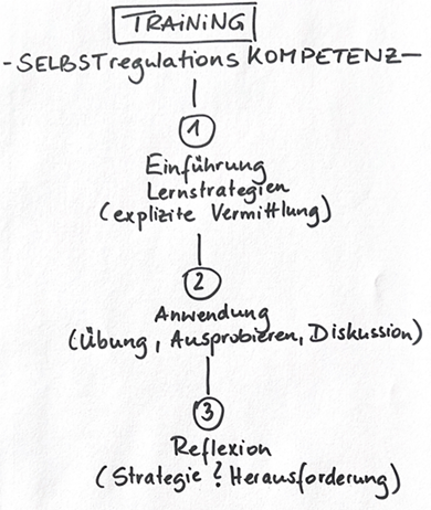 strategiefaecher warum